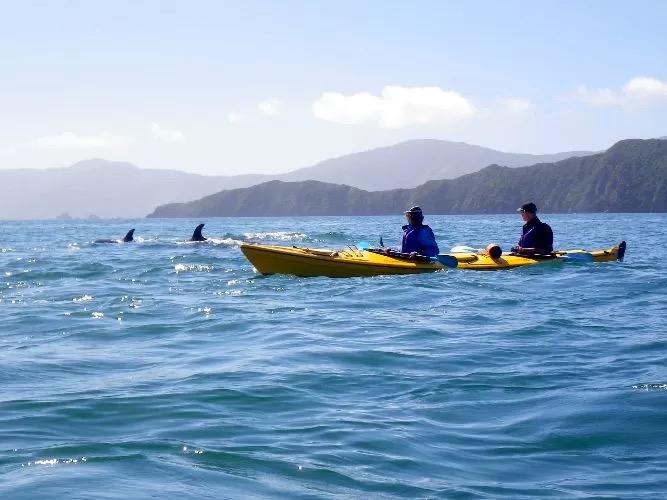 Marlborough Tour Company expands with adventure acquisition